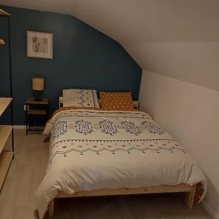 Appartement Centre-Ville Vierzon Buitenkant foto